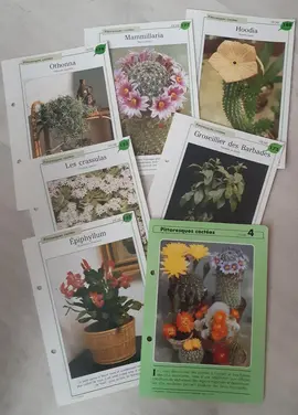 fiches plantes