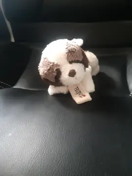 petite peluche