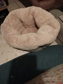 panier animaux