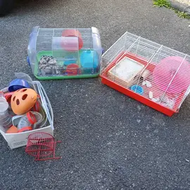 cage hamster