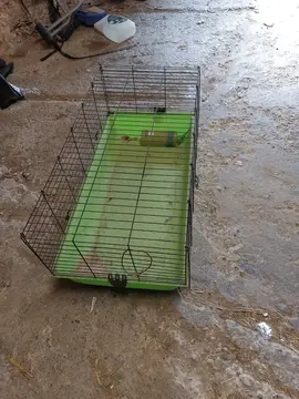 cage lapin