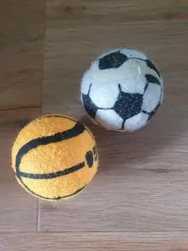 Balles chien