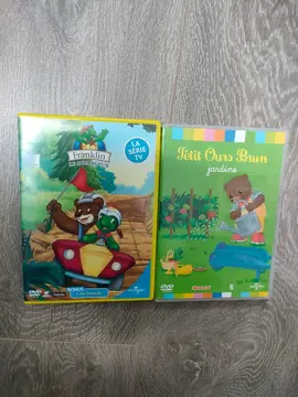 lot 2 dvd enfants état moyen
