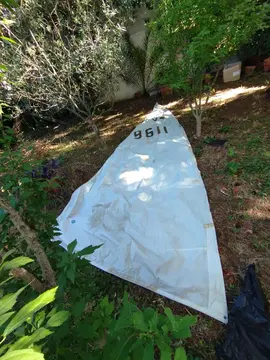 Grande voile blanche pour windsurf
