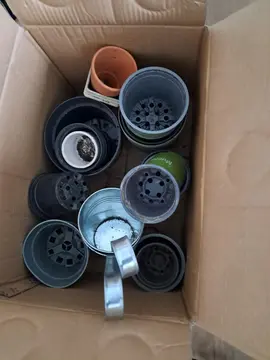 lots poste plastiques pour plante