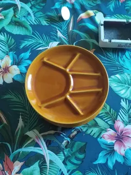 assiette va fondu il en a 5 bon état