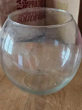 petit aquarium