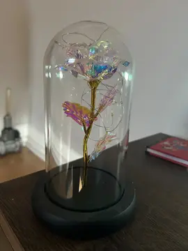 rose lumineuse sous cloche