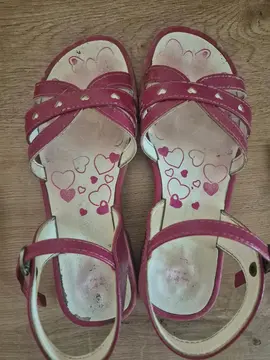 nu pied