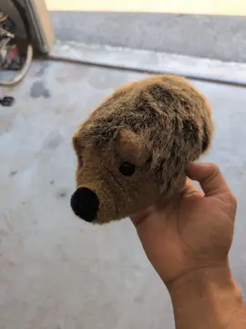 peluche hérisson 3