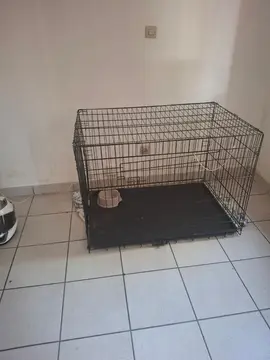 cage animaux