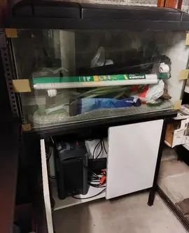 aquarium avec accessoires