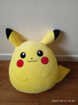 coussin Pokémon