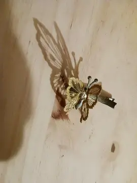 papillon pince