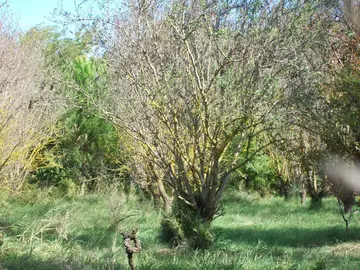 terre en bio