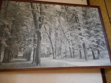 Tableau mural