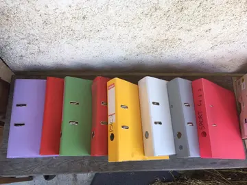 Classeurs avec pochettes transparentes perforées