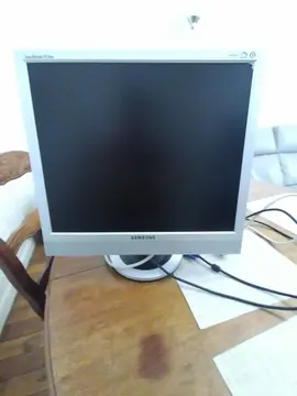 ecran 19 pouce connecteur vga