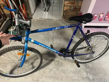 Vélo adulte