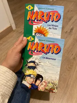 livre naruto