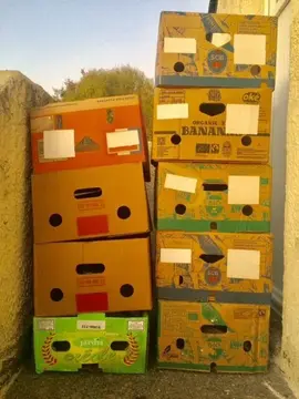 Donne cartons pour déménagement ou autre