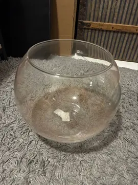 pour terrarium ou aquarium