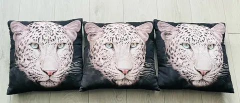 Coussin