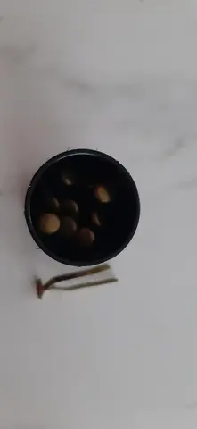 Attaches parisiennes grande et petite taille