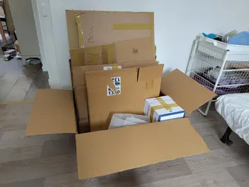 cartons