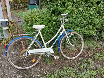 velo adulte