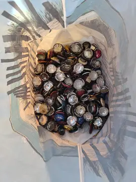 capsule de Champagne