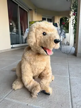 Chien pour enfants