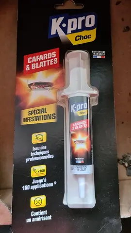 insecticide cafards et blattes