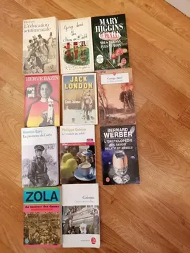 Lot de livres