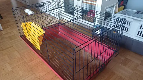 Cage pour rongeurs avec accessoires
