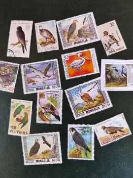 lot unique timbres oiseaux