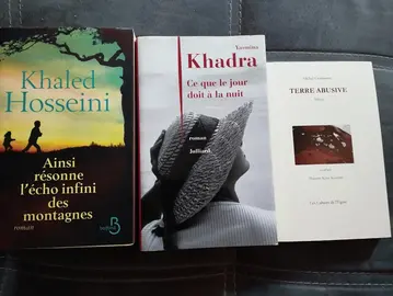 lot de livres