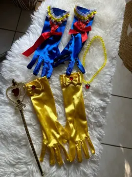 lot déguisement princesse
