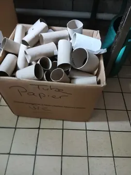 rouleaux papier WC pour activité