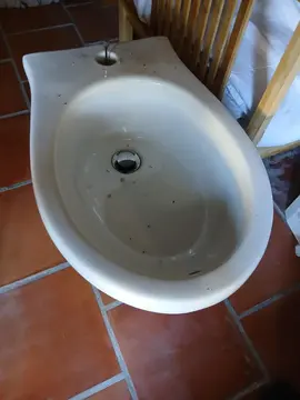 bidet