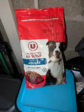croquettes pour chien