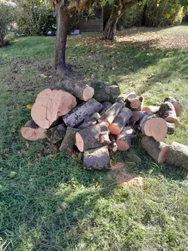 Bois de chauffage