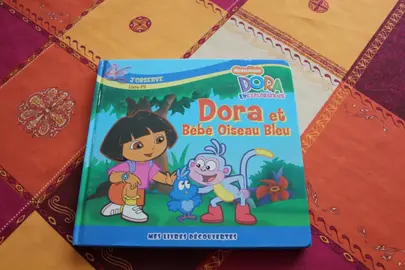 livre "Dora et Bébé Oiseau Bleu