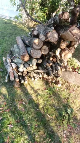 Bois pour chauffage