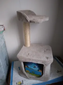 arbre à chat hauteur 86 cm
