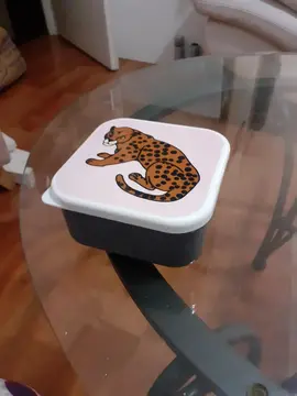 petite boite rn plastique 11 cm de côté