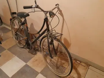 Vélo adulte
