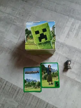 boite minecraft
