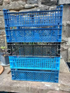 Cagettes