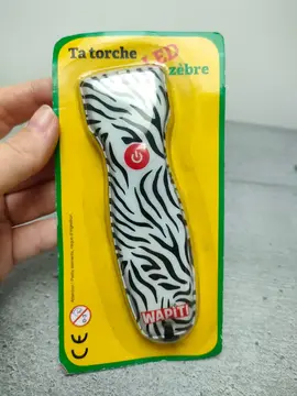torche led